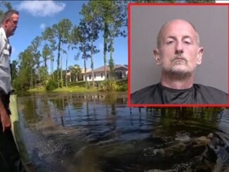 Shirtless Florida Man Jumps Into Alligator-Infested Canal While Fleeing Deputies.