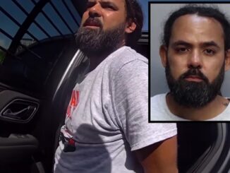 Video Shows Arrest of Man Accused in Father's Day Softball Bat Attack in Aventura