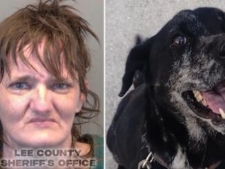 Woman Arrested After Ring Camera Captures Her Sexual Assaulting A Dog.
