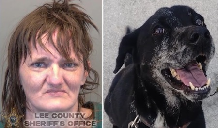 Woman Arrested After Ring Camera Captures Her Sexual Assaulting A Dog.