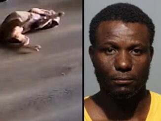 Florida HVAC Worker Arrested After Dog-Treat Camera Allegedly Captures Him Kicking Homeowner’s Dog.