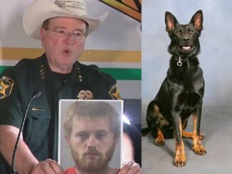 Florida Shootout Leaves K-9 Fighting For His Life After Taking A Bullet.