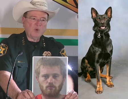 Florida Shootout Leaves K-9 Fighting For His Life After Taking A Bullet.