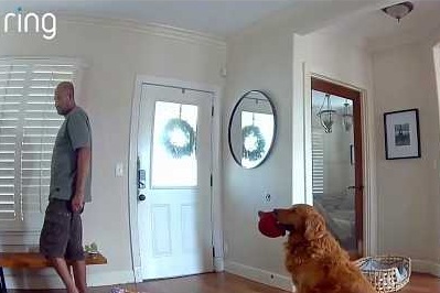 Intruder breaks into San Diego home and the family dog brought him a toy.