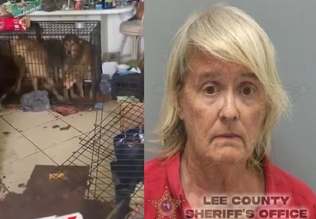 Florida Woman Busted After Deputies Find 30 Dogs Living in Filth.