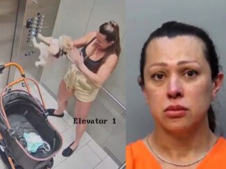Hialeah Woman Accused Of Beating Foster Dog Multiple Times On Camera