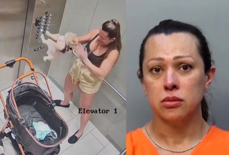 Hialeah Woman Accused Of Beating Foster Dog Multiple Times On Camera
