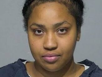 Woman Accused Of Posing As Substitute Teacher And Saying Wild Things To Students.