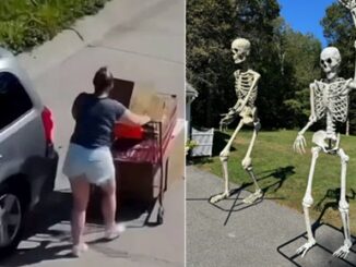 Woman Allegedly Steals Two 12-Foot Halloween Skeletons Worth $600 From Home Depot.
